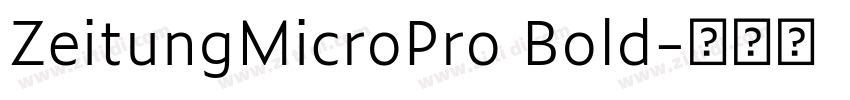 ZeitungMicroPro Bold字体转换